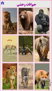 Animal Sound - Gameplay image of android game
