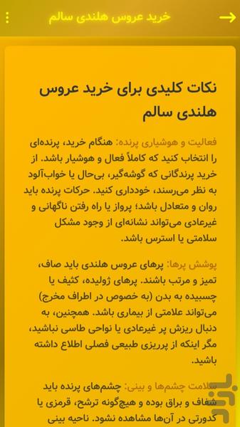 ‏طوطی‌نامه | آموزش عروس هلندی - عکس برنامه موبایلی اندروید