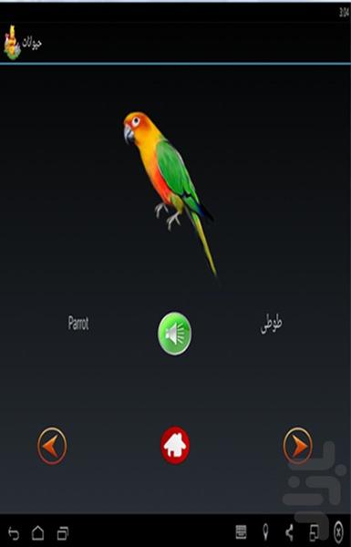 کیدزیو - Image screenshot of android app