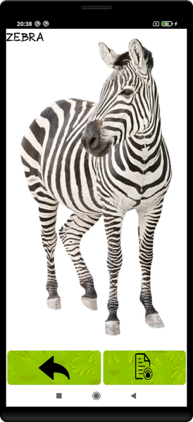 Sounds of Animals - عکس برنامه موبایلی اندروید