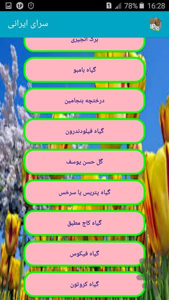 Saraye Irani - Image screenshot of android app