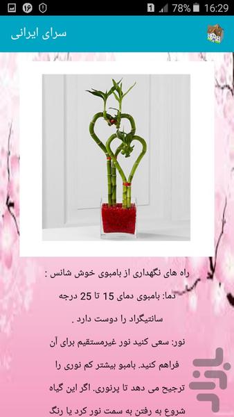 Saraye Irani - Image screenshot of android app