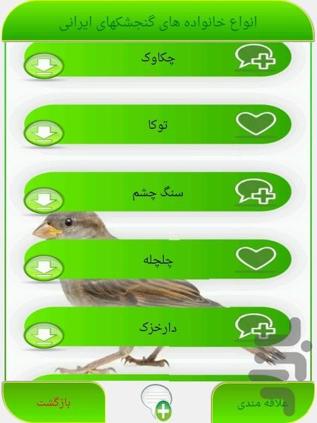 گنجشک های ایرانی - عکس برنامه موبایلی اندروید