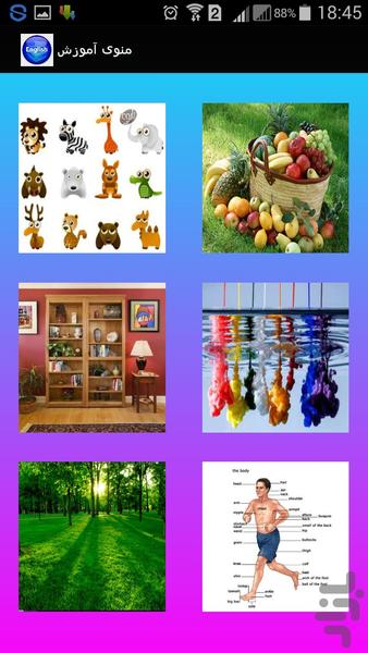 Thematic idioms - Image screenshot of android app