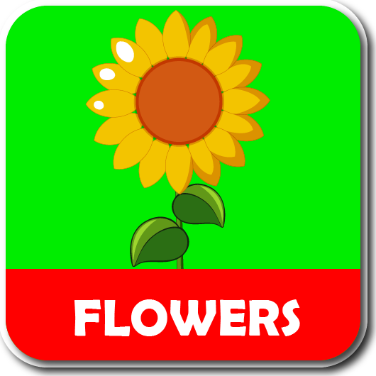 ABC alphabet phonic song - عکس برنامه موبایلی اندروید