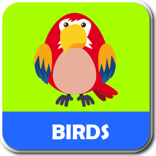 ABC alphabet phonic song - Image screenshot of android app