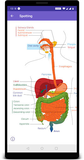 Anatomy Guide (Pocket Book) - Image screenshot of android app