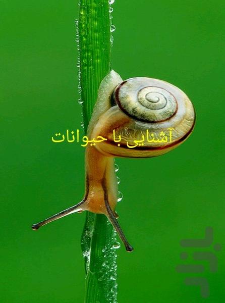 آشنایی با حیوانات - Image screenshot of android app