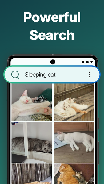 Gallery: Photo Gallery with AI - Image screenshot of android app