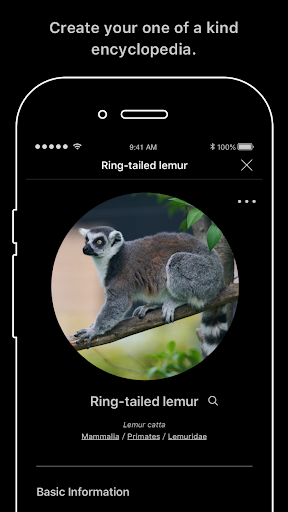 LINNÉ LENS - عکس برنامه موبایلی اندروید