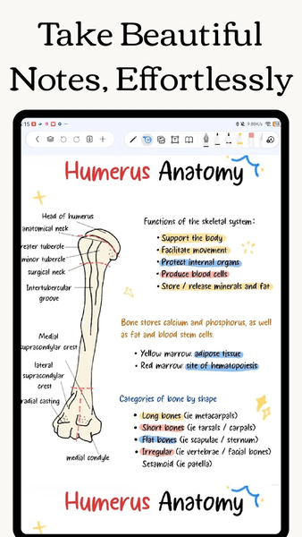 Freenotes - Notes Taking & PDF - عکس برنامه موبایلی اندروید