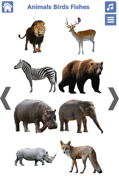 Animals Birds Fishes - Image screenshot of android app