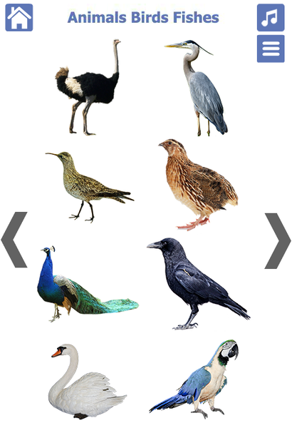 Learn Animals and Birds Sounds - Image screenshot of android app