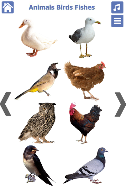 Learn Animals and Birds Sounds - Image screenshot of android app