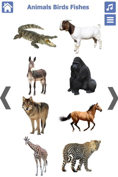 Learn Animals and Birds Sounds - Image screenshot of android app