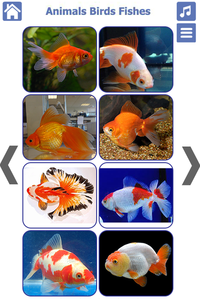 Learn Animals and Birds Sounds - Image screenshot of android app
