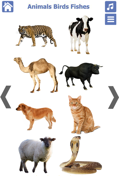 Learn Animals and Birds Sounds - Image screenshot of android app