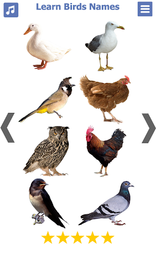 Birds name in English - عکس برنامه موبایلی اندروید