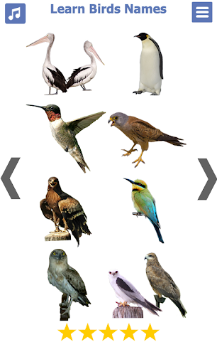 Birds Name: Learn & Listen - Image screenshot of android app