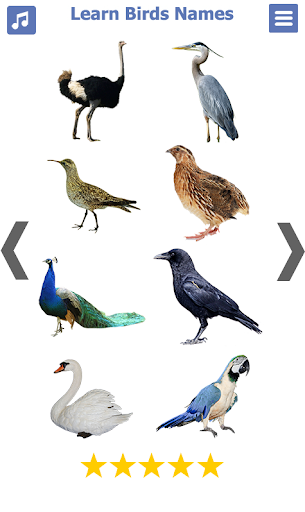 Birds Name: Learn & Listen - Image screenshot of android app