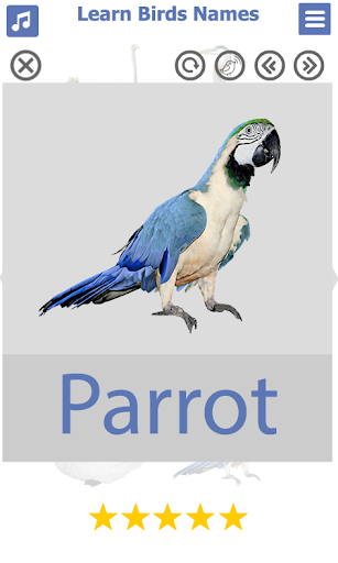 Birds Name: Learn & Listen - Image screenshot of android app