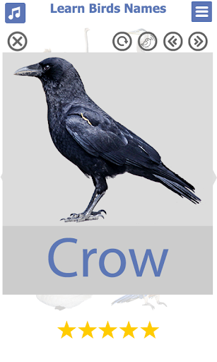 Birds Name: Learn & Listen - Image screenshot of android app