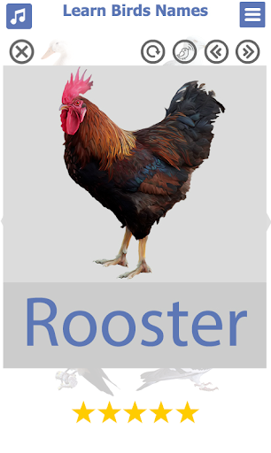 Birds Name: Learn & Listen - Image screenshot of android app