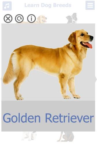 Dog Breeds | The Doggy Dossier - Image screenshot of android app