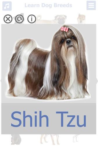 Dog Breeds | The Doggy Dossier - Image screenshot of android app