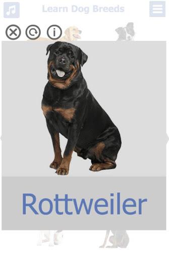 Dog Breeds | The Doggy Dossier - Image screenshot of android app