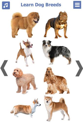 Dog Breeds | The Doggy Dossier - Image screenshot of android app