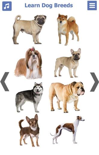 Dog Breeds | The Doggy Dossier - Image screenshot of android app