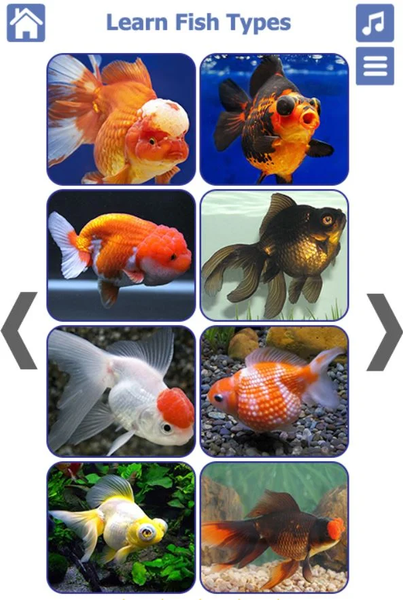 Fish Types | Goldfish Saltwate - Image screenshot of android app
