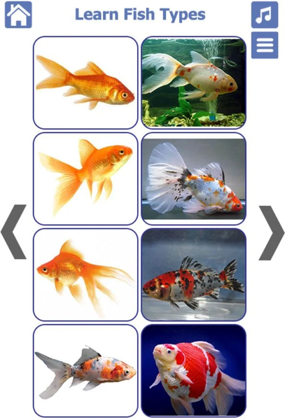 Fish Types | Goldfish Saltwate - عکس برنامه موبایلی اندروید