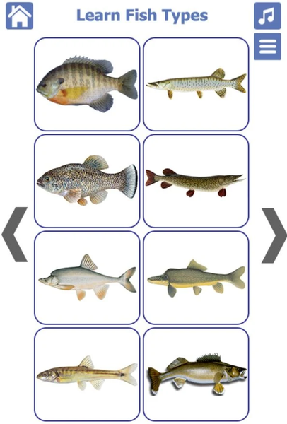 Fish Types | Goldfish Saltwate - عکس برنامه موبایلی اندروید