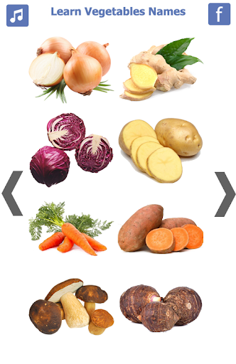 Learn Vegetables Name - Image screenshot of android app