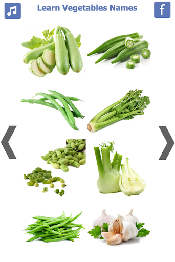 Learn Vegetables Name - Image screenshot of android app