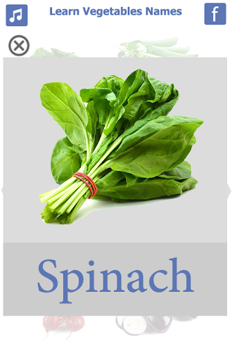 Learn Vegetables Name - Image screenshot of android app