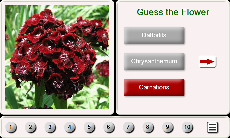 Guess the Flower: Tile Puzzles - Gameplay image of android game