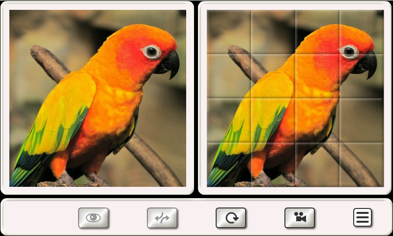 Guess the Bird: Tile Puzzle - عکس بازی موبایلی اندروید