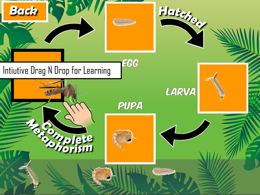 Insects Life Cycle Free - Image screenshot of android app