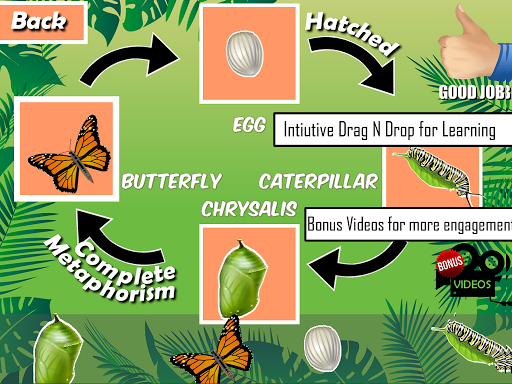 Insects Life Cycle Free - Image screenshot of android app
