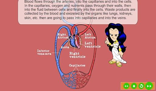 Circulatory System - عکس برنامه موبایلی اندروید