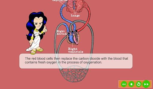 Circulatory System - عکس برنامه موبایلی اندروید