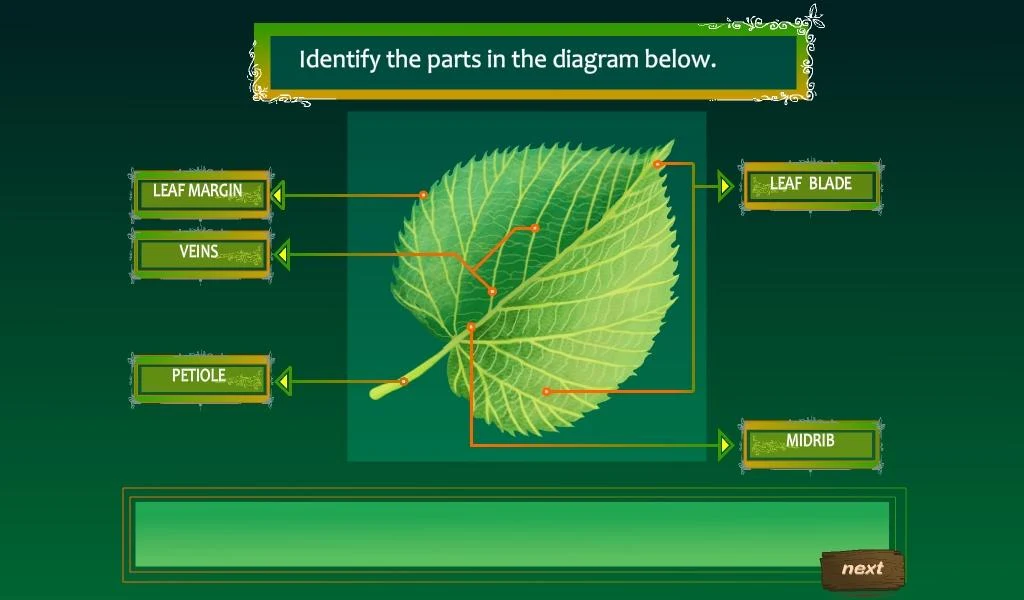 Food Production in Leaves - عکس برنامه موبایلی اندروید