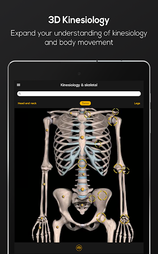 Strength Training by M&M - Image screenshot of android app