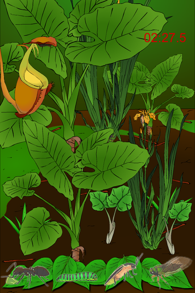 Hidden Insects - Gameplay image of android game