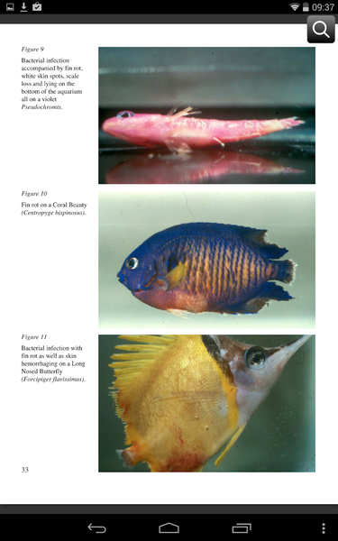 Fish Diseases - عکس برنامه موبایلی اندروید