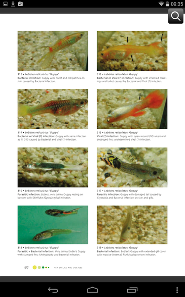 Fish Diseases - عکس برنامه موبایلی اندروید