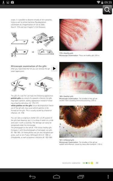 Fish Diseases - عکس برنامه موبایلی اندروید